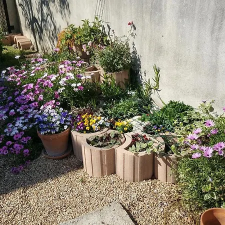 Avec Terrasse Quartier Montplaisir Appartement Arles